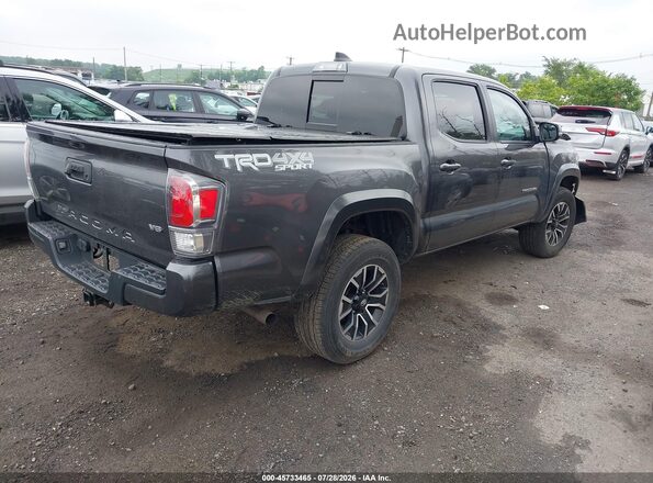 3TYCZ5AN0PT126946 2023 TOYOTA TACOMA Gray Հետևի աջ