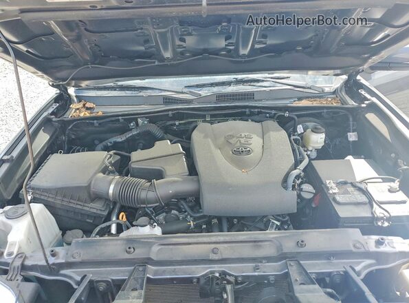 3TYCZ5AN4PT174062 2023 TOYOTA TACOMA Gray Սալոնի հետևի տեսք