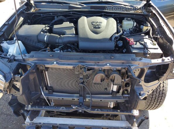 3TYCZ5AN5MT028426 2021 TOYOTA TACOMA Gray Սալոնի հետևի տեսք