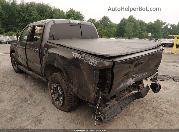 3TYCZ5AN5MT040320 2021 TOYOTA TACOMA Gray Задня ліва чверть