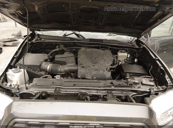 3TYCZ5AN5MT040320 2021 TOYOTA TACOMA Gray Вид ззаду