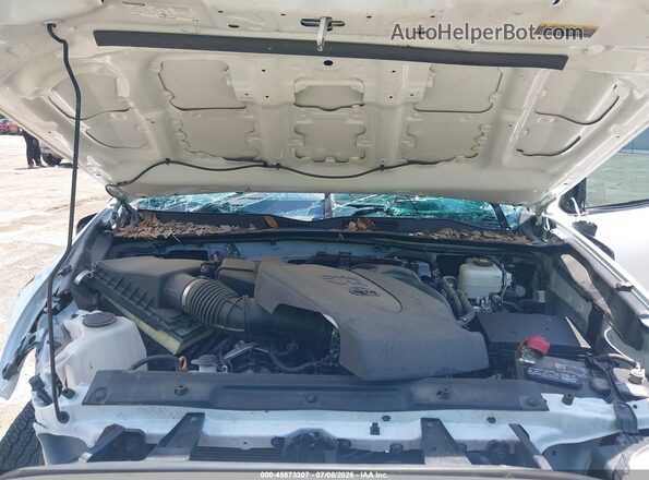 3TYCZ5AN6PT175360 2023 TOYOTA TACOMA Белый Вид сзади