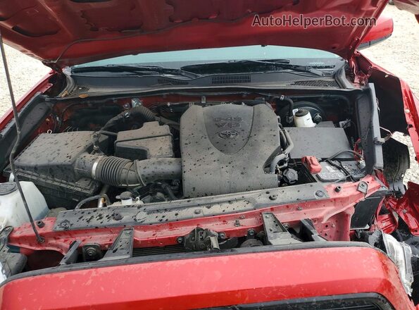3TYCZ5AN7PT151763 2023 TOYOTA TACOMA Red Vista interior trasera