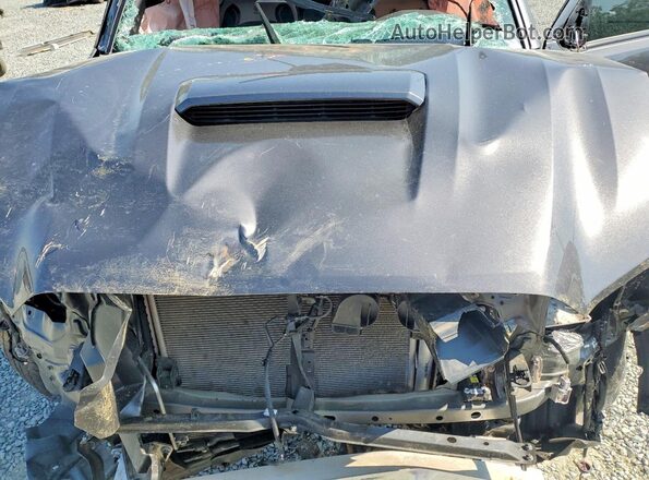 3TYCZ5AN8PT168443 2023 TOYOTA TACOMA Gray Widok wnętrza z tyłu