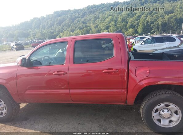 3TYCZ5AN8PT168975 2023 TOYOTA TACOMA Red 360 interior view