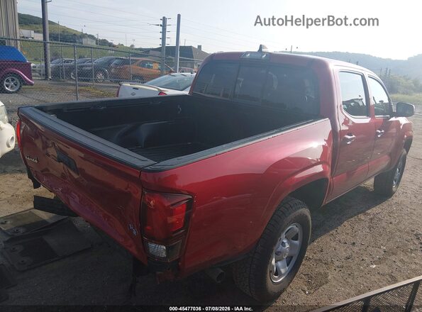 3TYCZ5AN8PT168975 2023 TOYOTA TACOMA Red Rear right