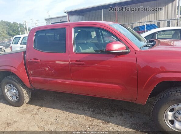 3TYCZ5AN8PT168975 2023 TOYOTA TACOMA Red Rear interior view