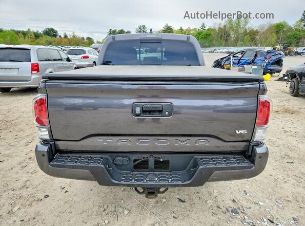 3TYCZ5AN9PT111801 2023 TOYOTA TACOMA Gray Widok z tyłu