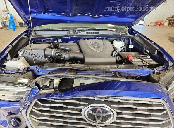 3TYDZ5BN9PT037850 2023 TOYOTA TACOMA Синий Вид задней части салона
