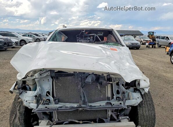 3TYDZ5BNXPT022080 2023 TOYOTA TACOMA White Вид задньої частини салону