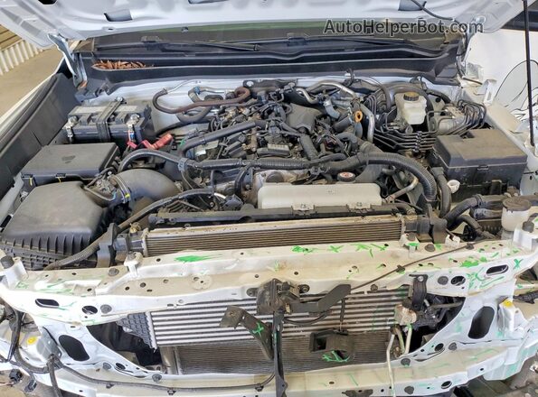 3TYJDAHN0RT006832 2024 TOYOTA TACOMA White Vista interior trasera