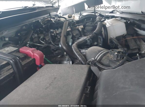 3TYJDAHN1ST028120 2025 TOYOTA TACOMA White Вид ззаду