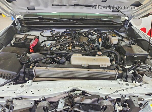 3TYJDAHN6ST018389 2025 TOYOTA TACOMA White უკანა სალონის ხედი