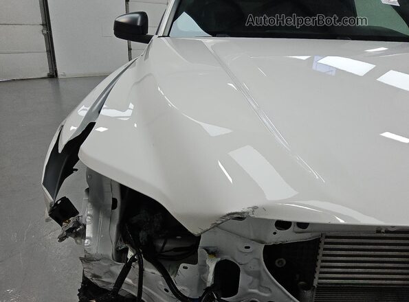3TYJDAHNXRT007938 2024 TOYOTA TACOMA White 