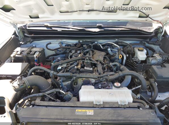 3TYJDAKN7RT004245 2024 TOYOTA TACOMA White Vista trasera