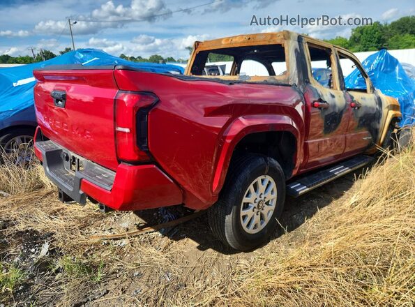 3TYKB5FN1ST020295 2025 TOYOTA TACOMA Red Задня права чверть