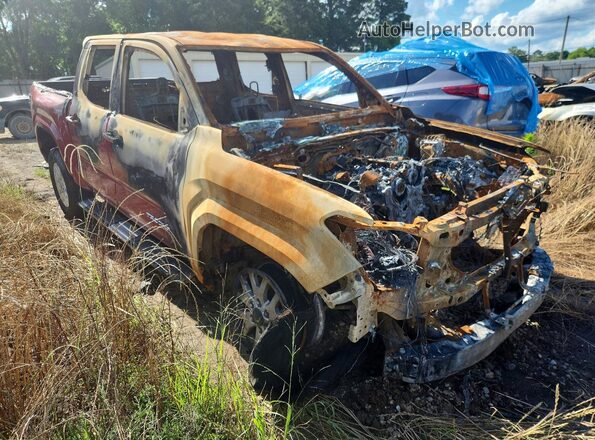 3TYKB5FN1ST020295 2025 TOYOTA TACOMA Red Передня права чверть