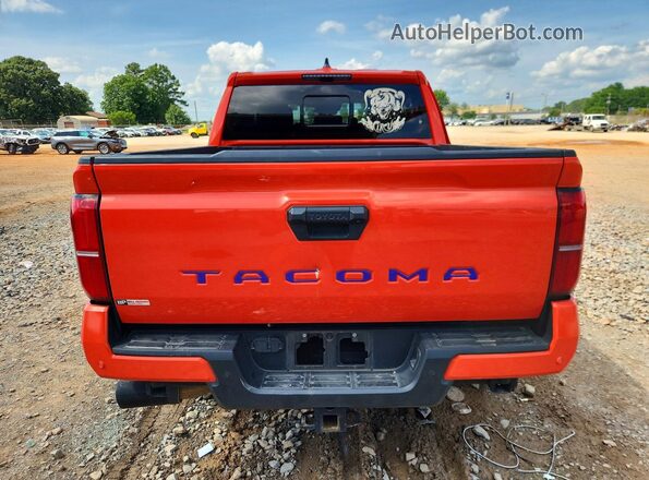 3TYKB5FN4RT010080 2024 TOYOTA TACOMA Orange Հետևի տեսք