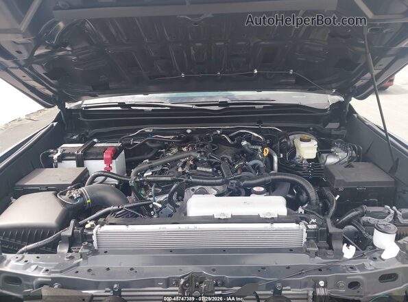 3TYKB5FN4TT042521 2026 TOYOTA TACOMA Gray უკანა ხედი