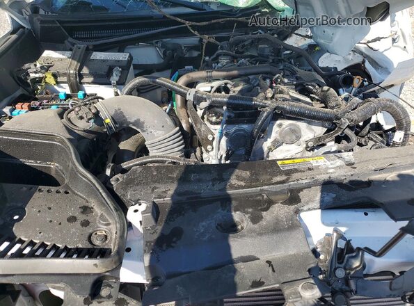 3TYKB5FN6RT011022 2024 TOYOTA TACOMA Белый Вид задней части салона
