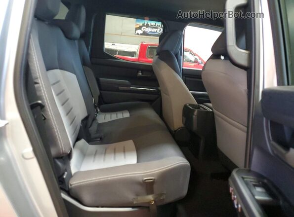 3TYKB5FN9ST027303 2025 TOYOTA TACOMA Серебряный Вид задних сидений