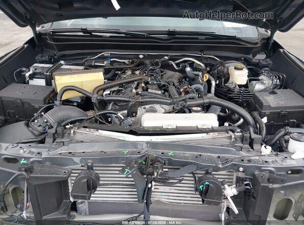 3TYKB5FNXTT035881 2026 TOYOTA TACOMA Gray Widok z tyłu