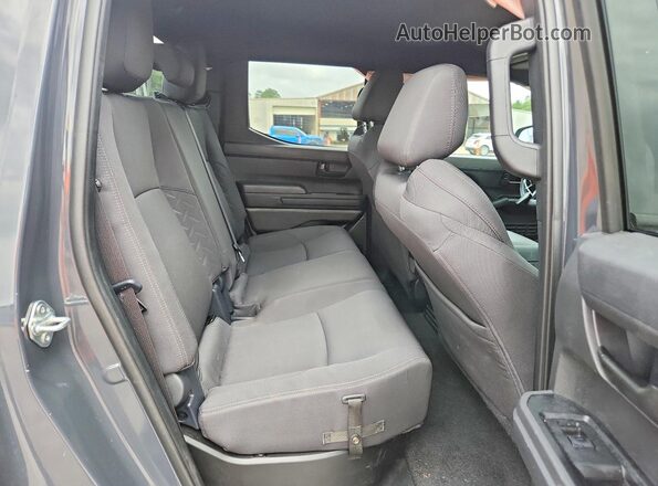 3TYKD5HN9ST037837 2025 TOYOTA TACOMA Charcoal Widok tylnych siedzeń