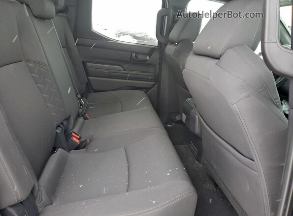 3TYKE5JN0ST066506 2025 TOYOTA TACOMA Black Widok tylnych siedzeń