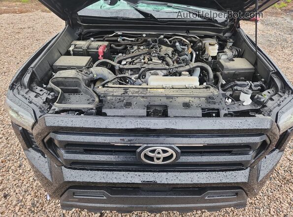 3TYKE5JNXRT005044 2024 TOYOTA TACOMA Black Սալոնի հետևի տեսք