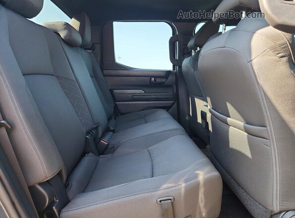 3TYLB5JN2ST071719 2025 TOYOTA TACOMA Угольный Вид задних сидений