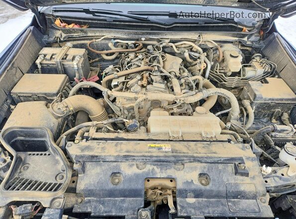 3TYLB5JN3RT035287 2024 TOYOTA TACOMA Серый Вид задней части салона