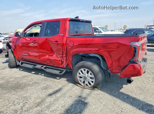 3TYLB5JN3RT036889 2024 TOYOTA TACOMA Red უკანა მარცხენა