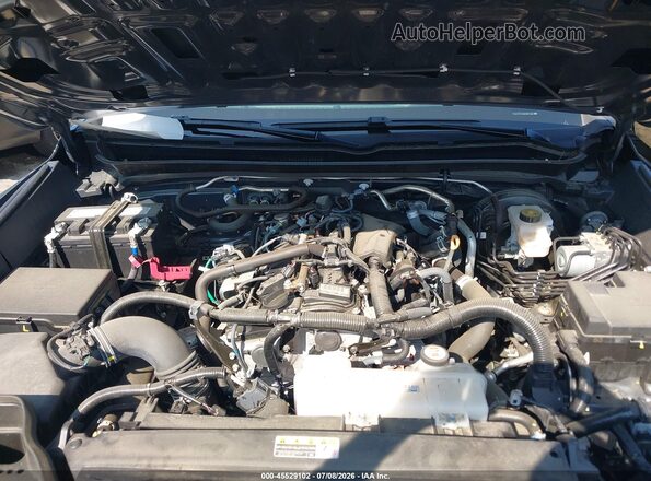 3TYLB5JN3RT053689 2024 TOYOTA TACOMA Blue Widok z tyłu