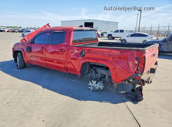 3TYLB5JN5RT043441 2024 TOYOTA TACOMA Red Հետևի ձախ