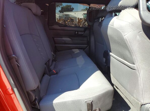 3TYLB5JN5RT043441 2024 TOYOTA TACOMA Red Հետևի նստատեղերի տեսք