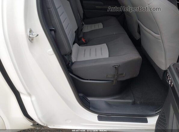 3TYLB5JNXRT000410 2024 TOYOTA TACOMA White VIN sticker view
