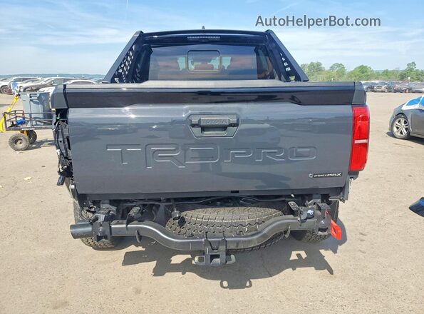 3TYLC5LN6RT005923 2024 TOYOTA TACOMA Серый Вид сзади