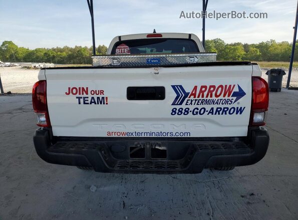 3TYRX5GN1PT075934 2023 TOYOTA TACOMA White Rear view