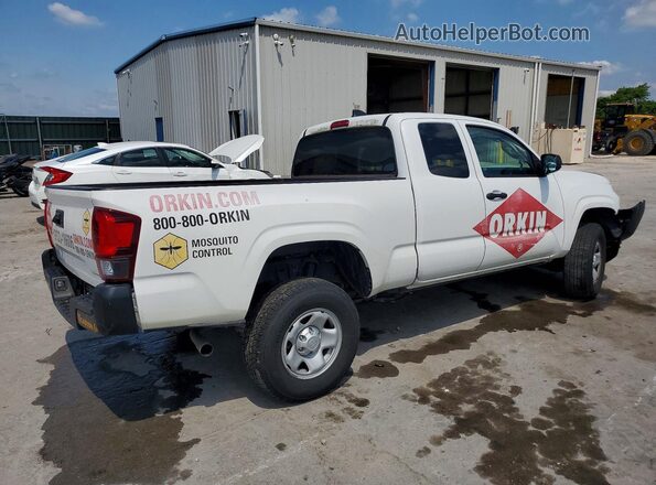 3TYRX5GN2LT004445 2020 TOYOTA TACOMA White Tył prawy