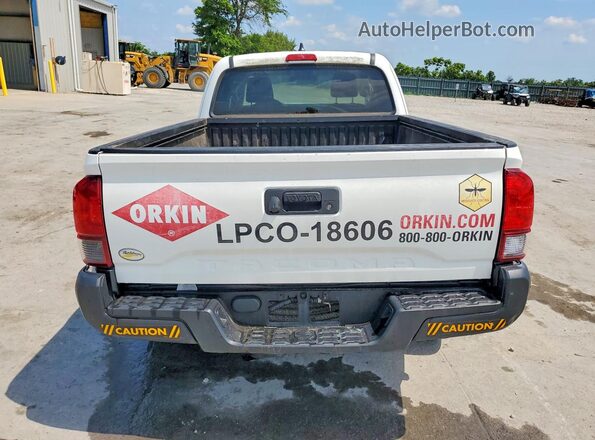 3TYRX5GN2LT004445 2020 TOYOTA TACOMA White Widok z tyłu