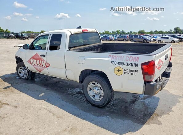 3TYRX5GN2LT004445 2020 TOYOTA TACOMA White Tył lewy
