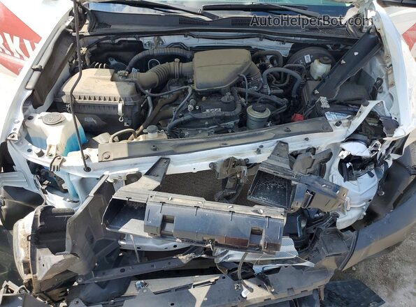 3TYRX5GN2LT004445 2020 TOYOTA TACOMA White Widok wnętrza z tyłu
