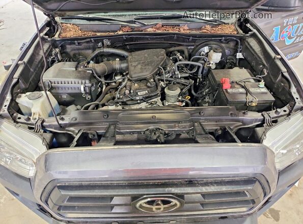 3TYRX5GN2PT077935 2023 TOYOTA TACOMA Gray Vista interior trasera