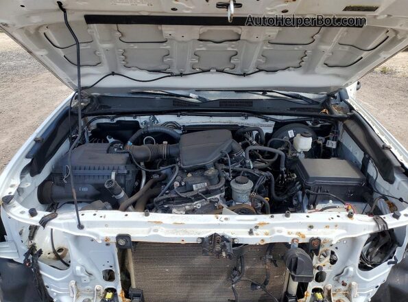 3TYRX5GN3MT018906 2021 TOYOTA TACOMA Белый Вид задней части салона