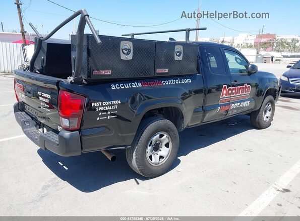 3TYRX5GN5PT067934 2023 TOYOTA TACOMA Black Tył prawy