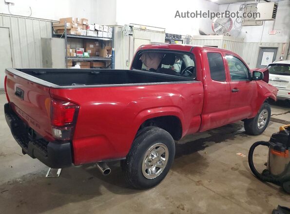 3TYRX5GN6PT067943 2023 TOYOTA TACOMA Red Tył prawy