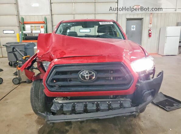 3TYRX5GN6PT067943 2023 TOYOTA TACOMA Red Widok z przodu