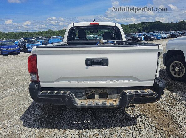 3TYRX5GN6PT082913 2023 TOYOTA TACOMA White Հետևի տեսք
