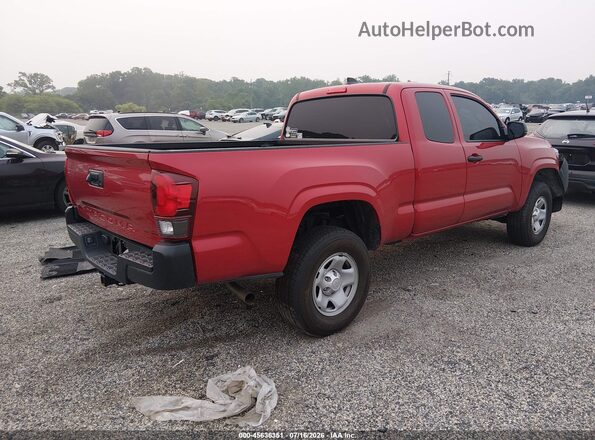 3TYRX5GN7MT010680 2021 TOYOTA TACOMA Red Tył prawy