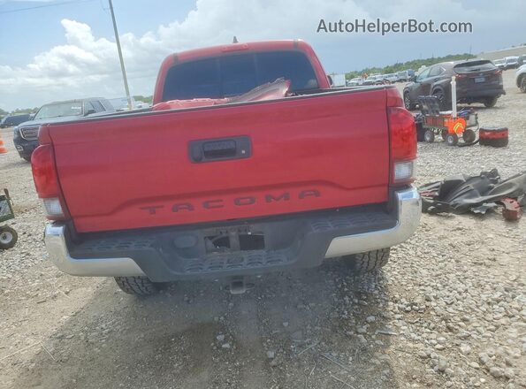 3TYRX5GNXPT072496 2023 TOYOTA TACOMA Red უკანა ხედი